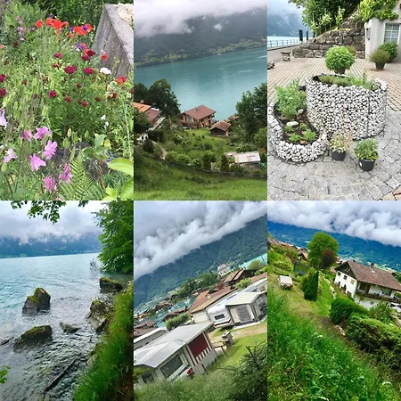 Beautiful Almost At Brienz